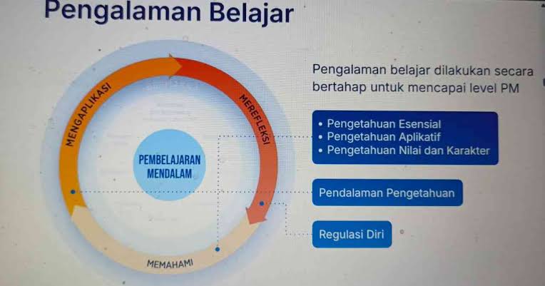 Cara Mengoptimalkan Pengalaman Belajar Bersama Kodealam2 dengan Strategi Sederhana namun Sangat Efektif Sekarang